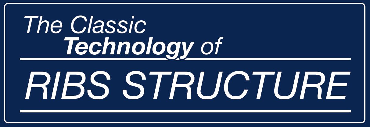 btn-versions-Ribs structure